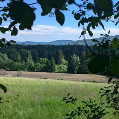 Erst spät erschlossen – die Mauth-Finsterauer Rodungsbucht