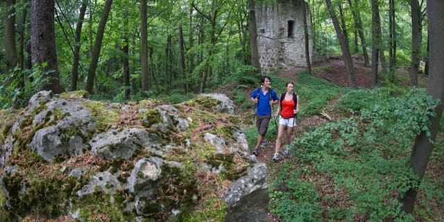 Bild von Burgruine Ehrenfels