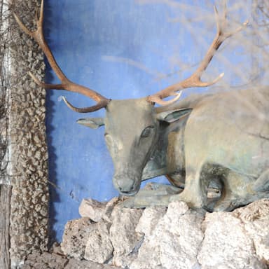 Bild von Grotte des Hirsches und Eishöhle