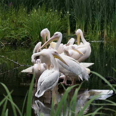 Bild von Das Donauaquarium