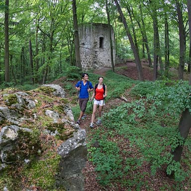 Bild von Burgruine Ehrenfels