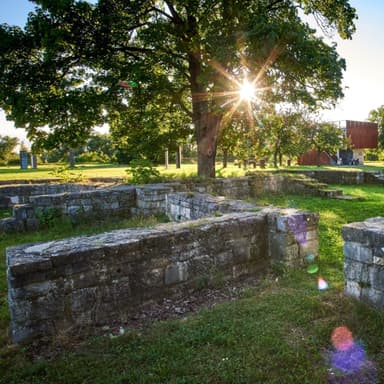 Römisches Auxiliarkastell ABUSINA